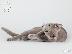 PoulaTo: Russian blue kitten for sale 90Euro